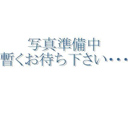 神奈川県川崎市中原区苅宿のアパートの間取