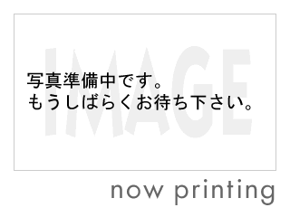 ユニディラゾーナ川崎店 ホームセンター 川崎 新川崎 鹿島田の賃貸は第一ハウジング株式会社にお任せ下さい